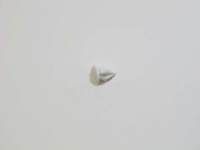 ЗАГЛУШКА ПЕТЛИ